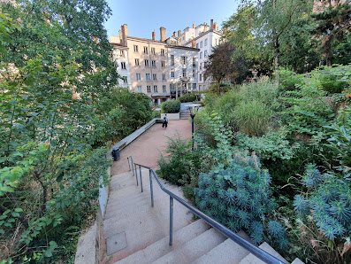 Slo Lyon les Pentes
